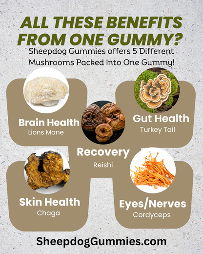 Brain & Body Dietary Mushroom Gummies