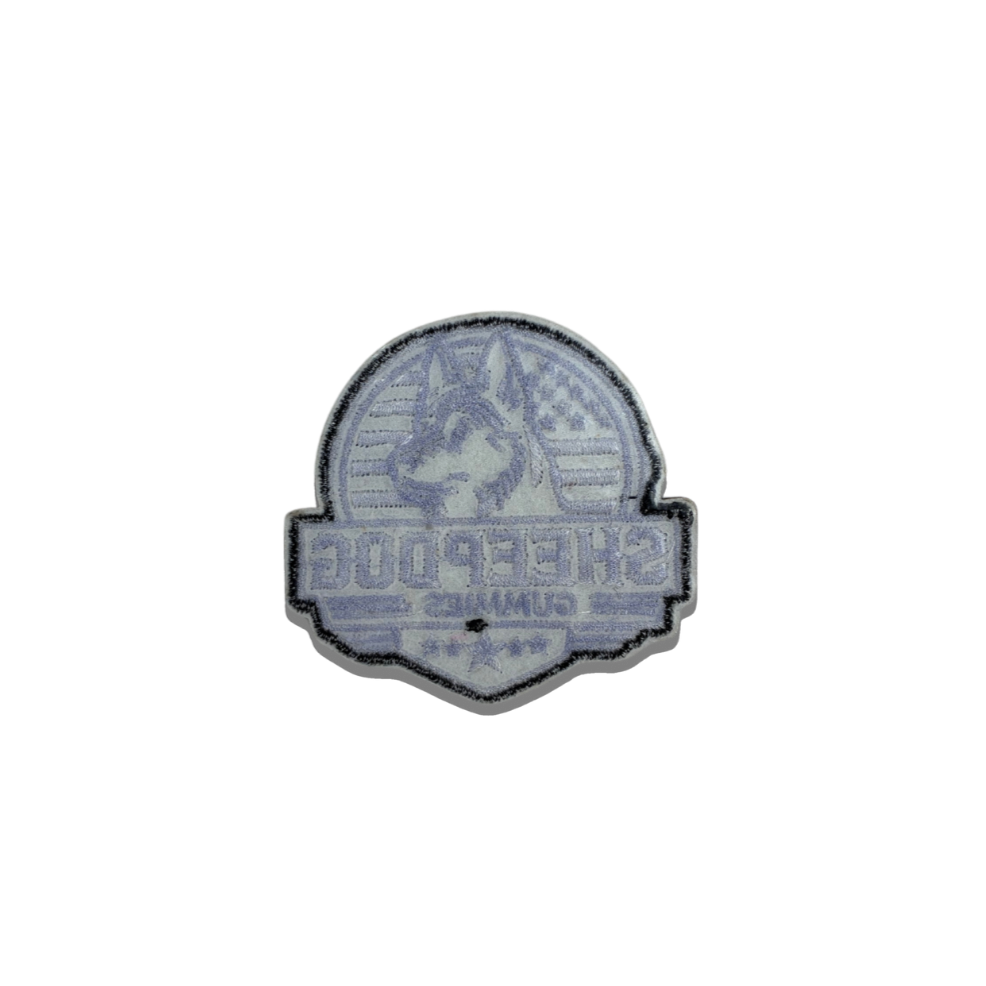 SDG patch